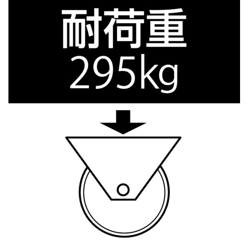 キャスター(固定金具)EA986HA−250