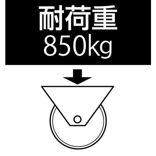 キャスター(固定金具)EA986HE−250