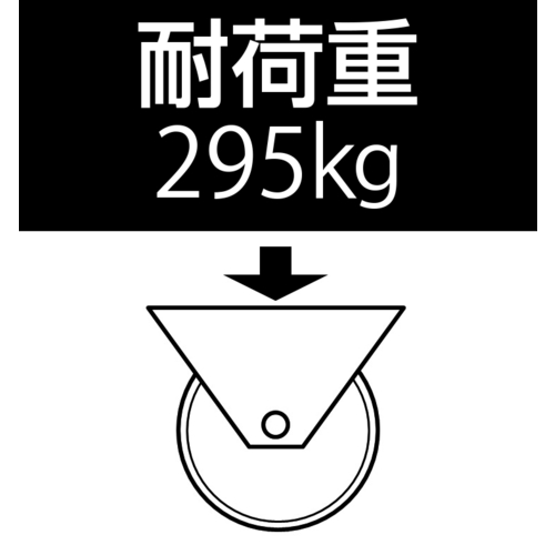 車輪(ラバータイヤ・PPリム)250X60