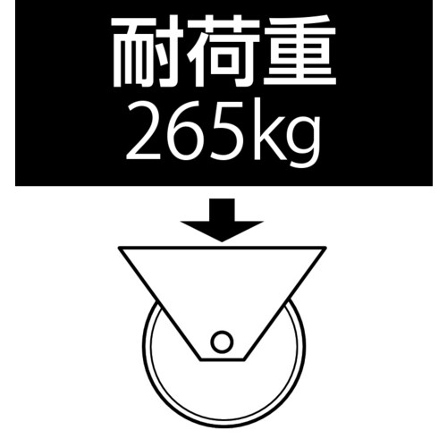 ガイドローラー(ポリウレタン製)120X25/25