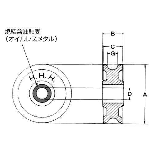 シーブ50X10mm