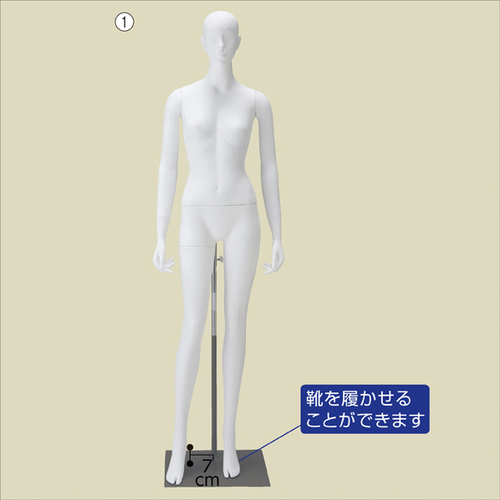 Sg󂯃A}lL