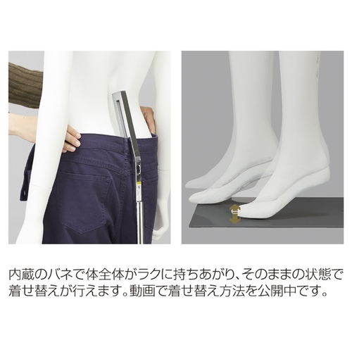 Sg󂯃A}lL