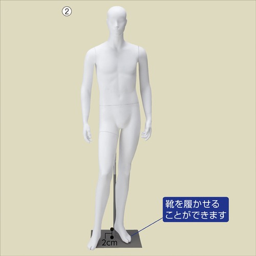Sg󂯃A}lL