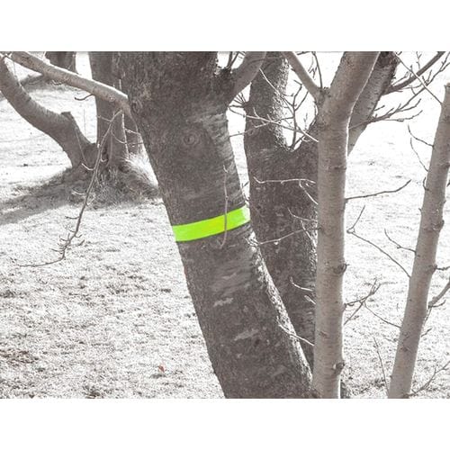 サインテープ 30幅X50m イエロー