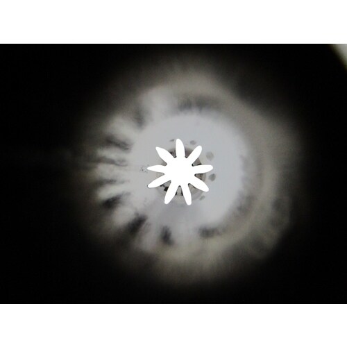 デコレーション口金 No.31花 6−9