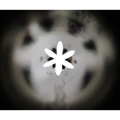 デコレーション口金 No.131 花 7−6