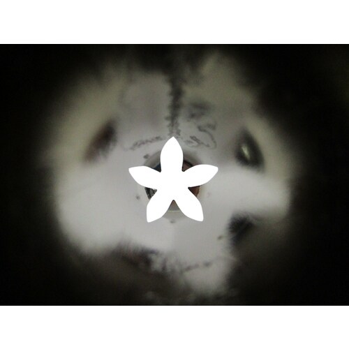 デコレーション口金 No.905 花 9−5