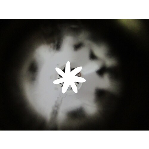 デコレーション口金 No.807 花 8−7