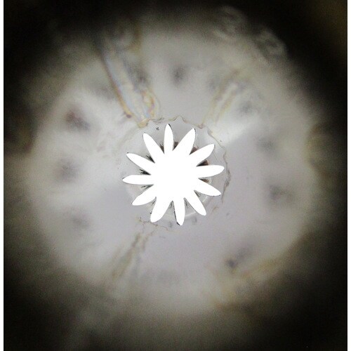 デコレーション口金 No.2G花 12−12