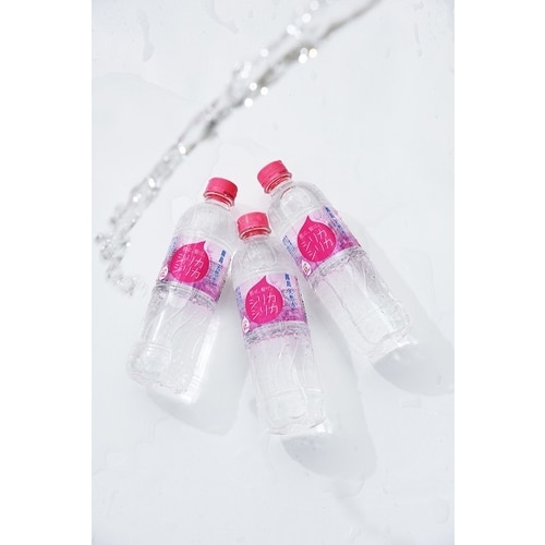 ビイネ! シリカシリカ 500ml×24本