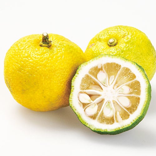 長工 ノンオイルゆずドレッシング 400ml