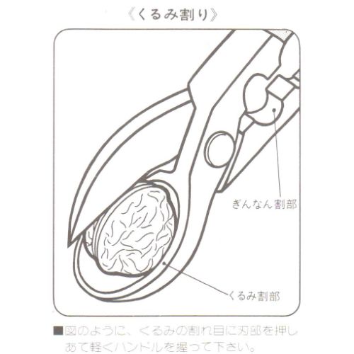 くるみ割り(ぎんなん兼用)