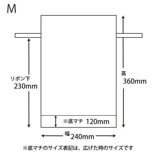 FバッグWシャンテタイプ M 無地BR 10枚×2
