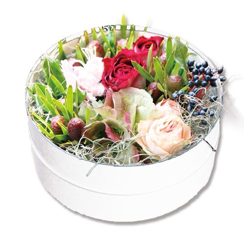 サークルBOX 220−98 ホワイト 2個