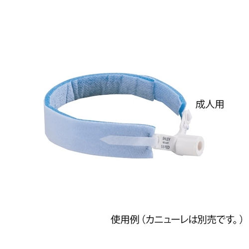 Cǐ؊JJj[z_[