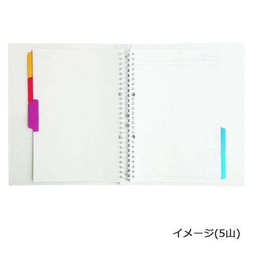 インデックスラミネート加工A4 30穴5山×10