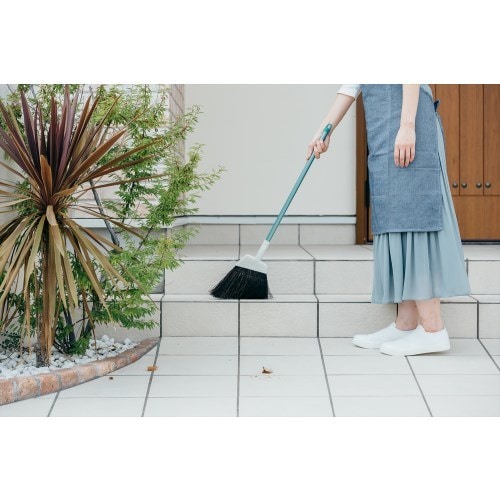 2989.jp+ 庭箒(アレン)S