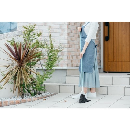 2989.jp+ 庭箒(アレン)L