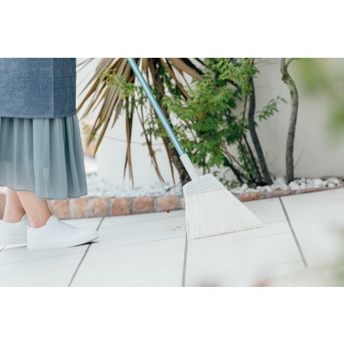 2989.jp+ 庭箒(PP)S