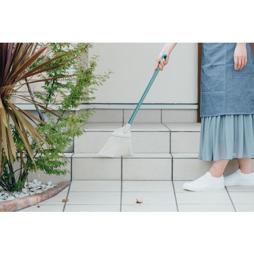 2989.jp+ 庭箒ニュ−ブルロンS