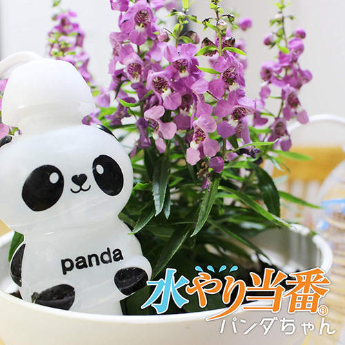 自動給水器 水やり当番 パンダちゃん
