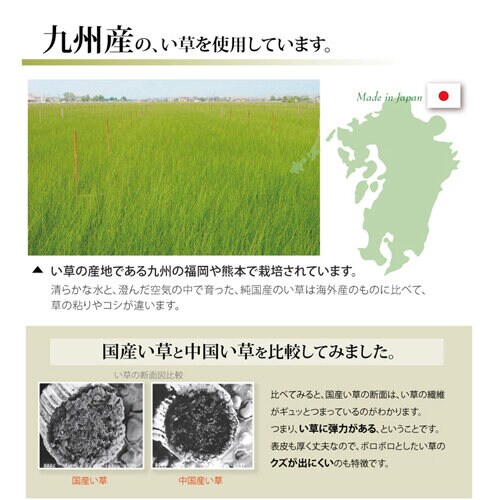 湯沢 六一間2畳