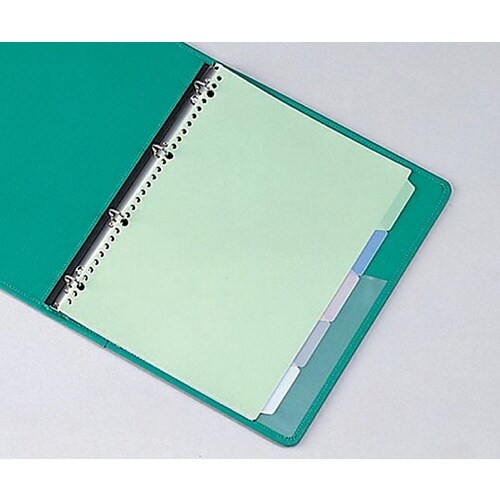 カラーインデックス A4、2・4・30穴