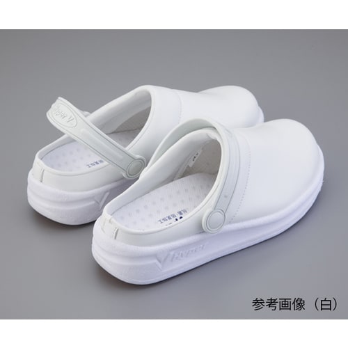 サボシューズ (黒/24.5cm)