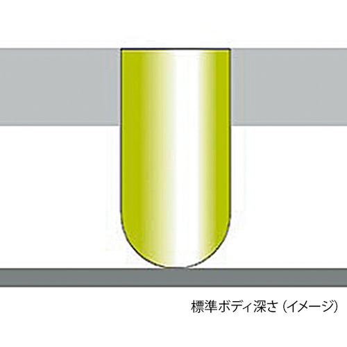 ȈՌ^JvZ[U@pIvV@[Uʃv[g