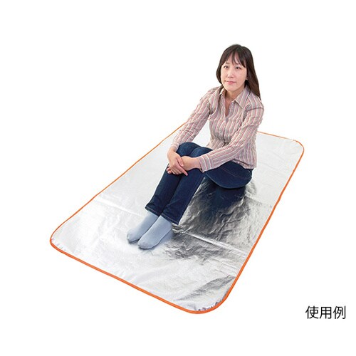 シートdeポンチョ