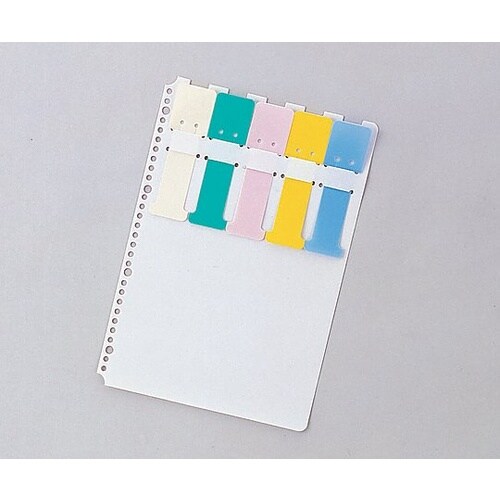 カラーシグナル A4、2・4・30穴 10枚入