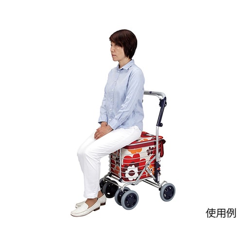 ワイヤーカート・スワレル(ブレーキ付)