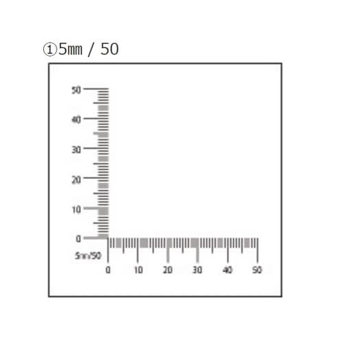 マイクロスケール