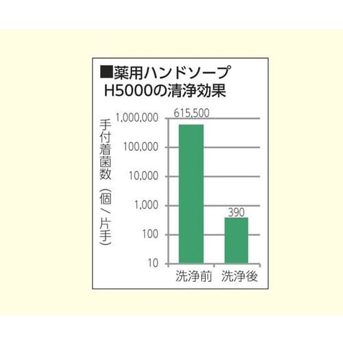 業務用薬用ハンドソープH5000