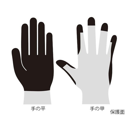 ^[gXLiqjO[u@bo@g@u@ol