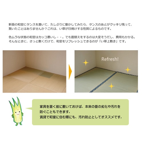 ほほえみ ナチュラル 本間2畳