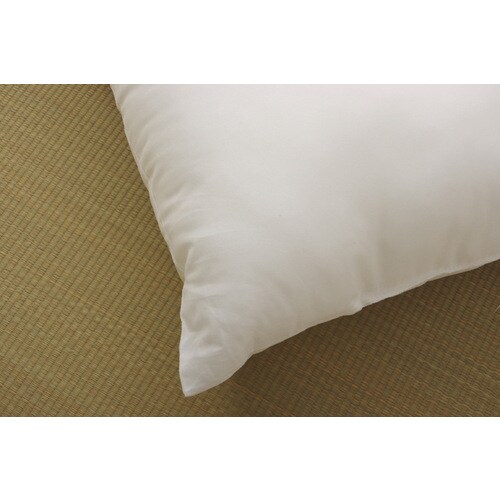 ヌード 座布団 アイボリー 55×59cm5P