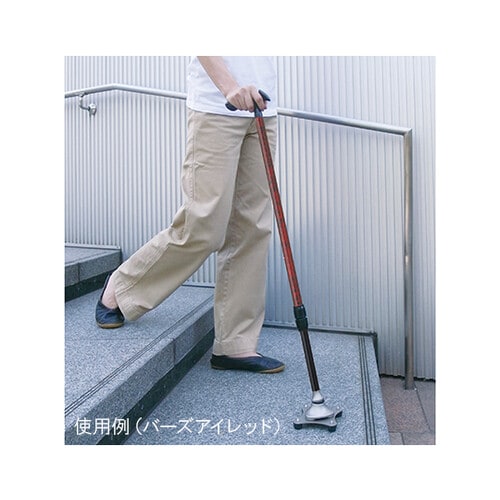 かるがも4ポイントステッキ WB3828