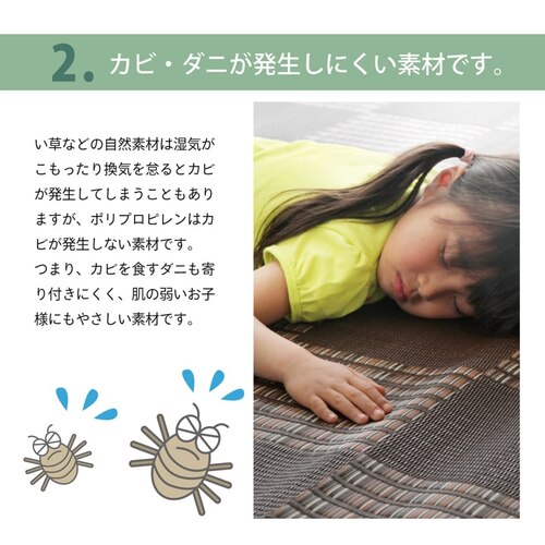 F ウィード ブラウン 江戸間6畳