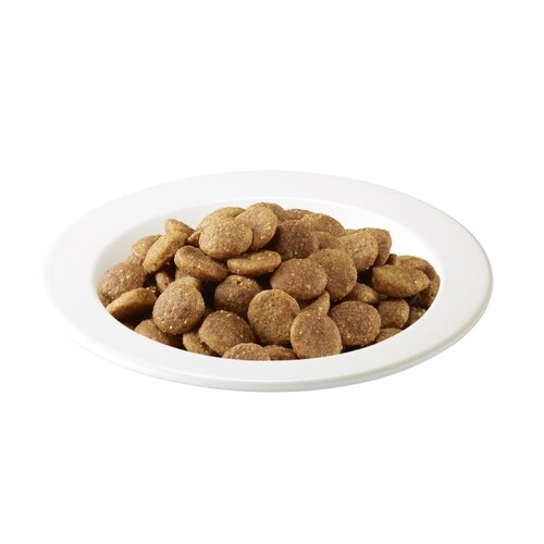 アイムス猫11歳+毎日の健康チキン1.5kg