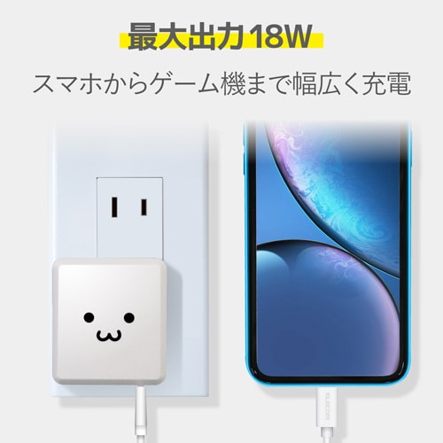 LightningAC充電器/PD認証/18W/顔