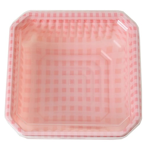 パックスデリカケース 角中 10枚