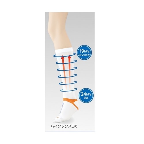 弾性ストッキング ハイソックスDX S