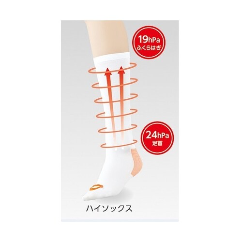 ベスケア 弾性ストッキング (ハイソックス) L