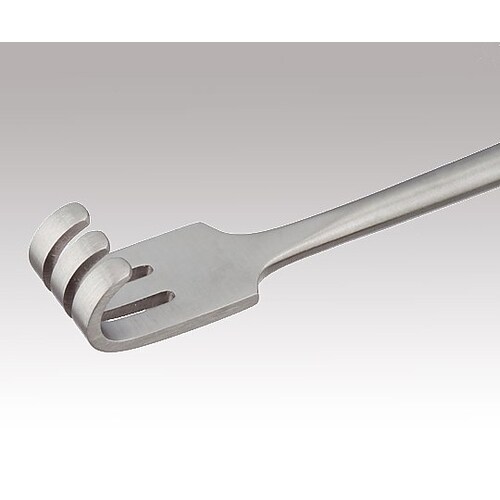 爪鈍鈎(ツメドンコウ) 3爪(3ソウ)