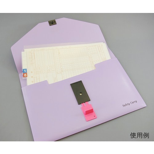 セーフティーキャリー 標準タイプ