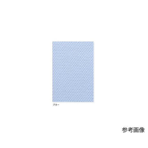 男子パンツ ホワイト S HO1953