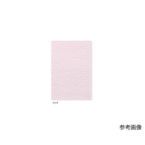 パンツ ピンク L TS2088