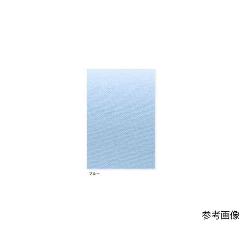 ケアガウン ホワイト L KEX1100